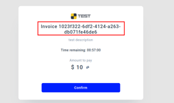 Invoice Example